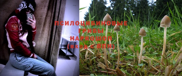 mix Белокуриха