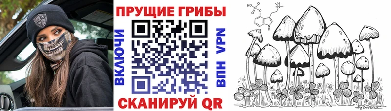Псилоцибиновые грибы ЛСД Называевск