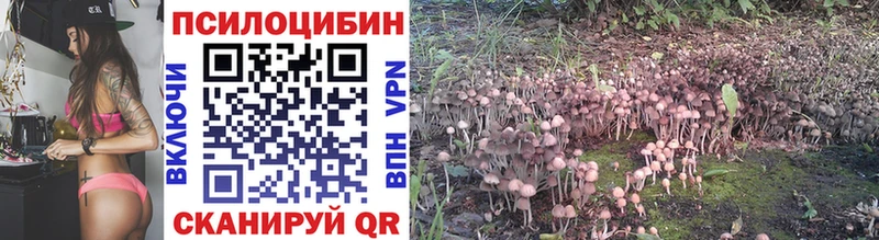 Псилоцибиновые грибы мицелий  MEGA ссылки  Называевск 